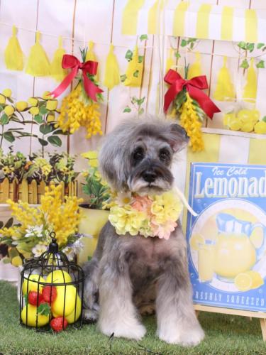 20240427ティノくん